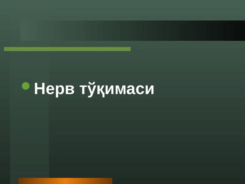 Нерв тўқимаси