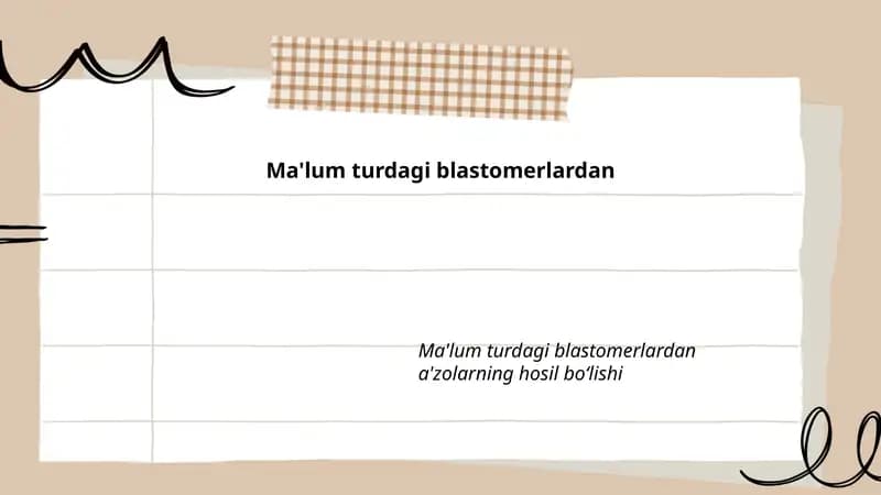 Blastomeralar Differensiasiyasi
