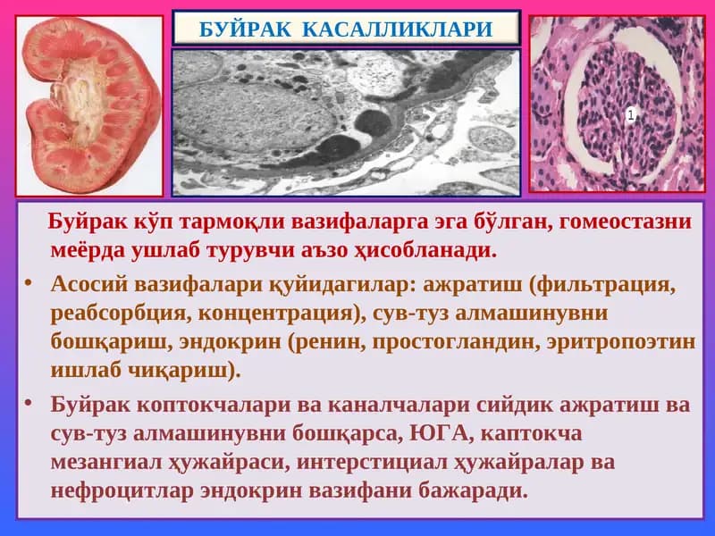 Буйрак Касалликлари