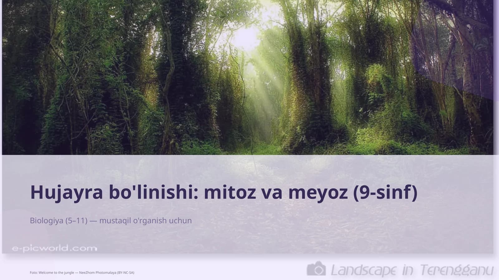 Hujayra bo'linishi: mitoz va meyoz (9-sinf)