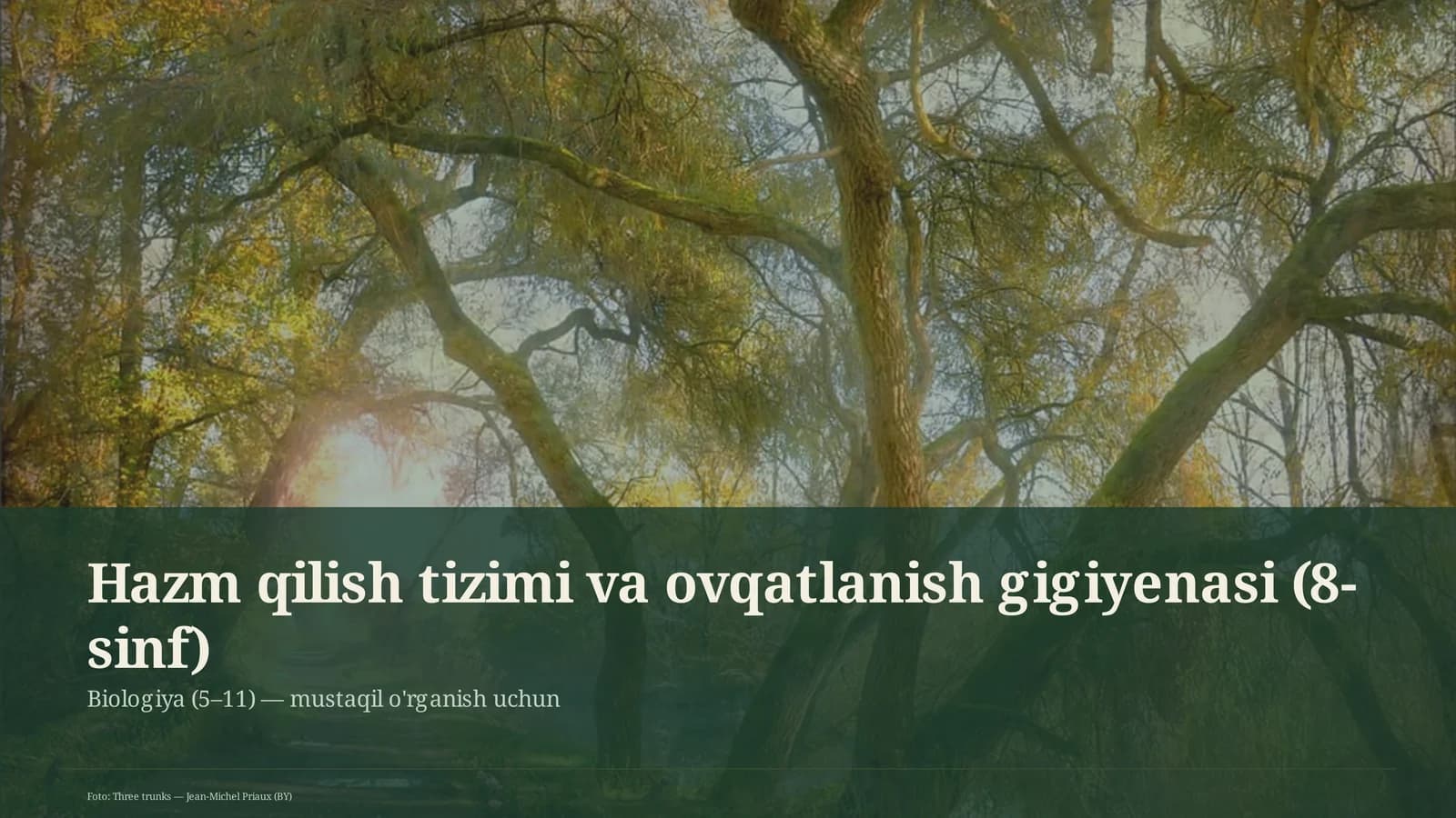 Hazm qilish tizimi va ovqatlanish gigiyenasi (8-sinf)