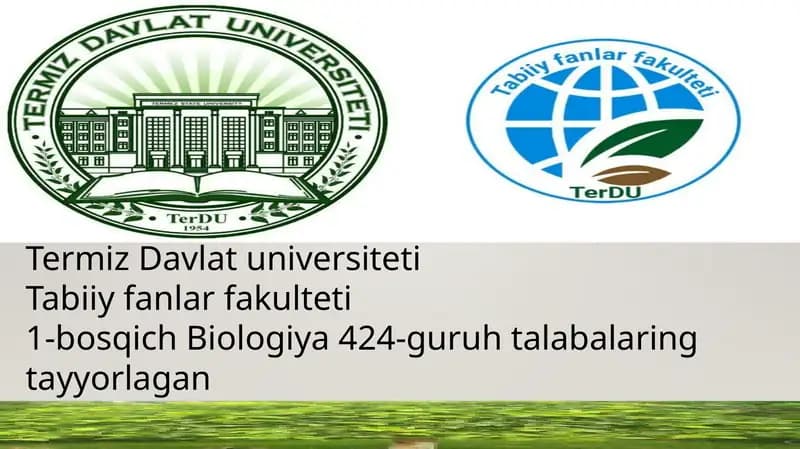 Dalao‘quva maliyoti
