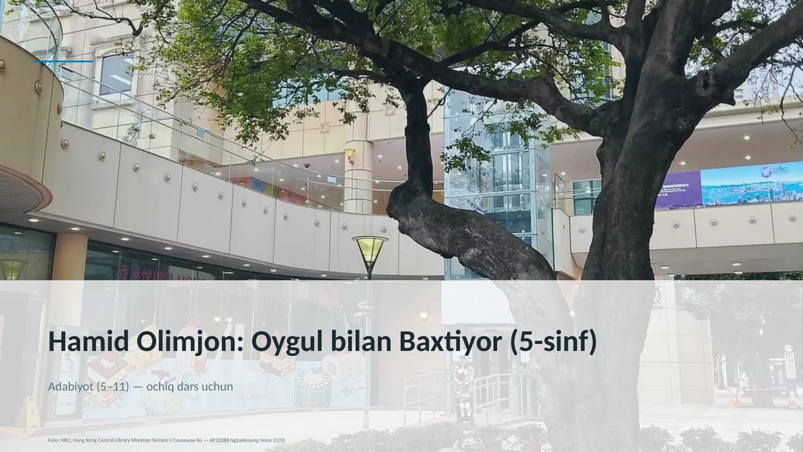 Adabiyot (5–11) — ochiq dars uchun