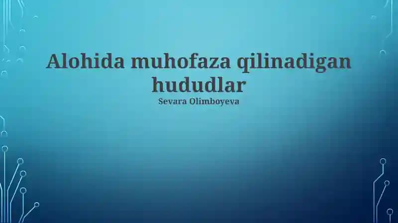 Global Tarmoqlar va Boshqaruv