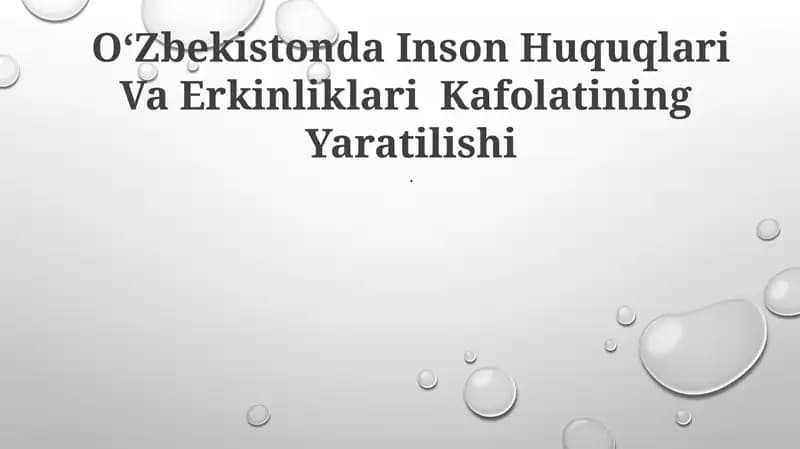 O‘Zbekistonda Inson Huquqlari Va Erkinliklari Kafolatining Yaratilishi