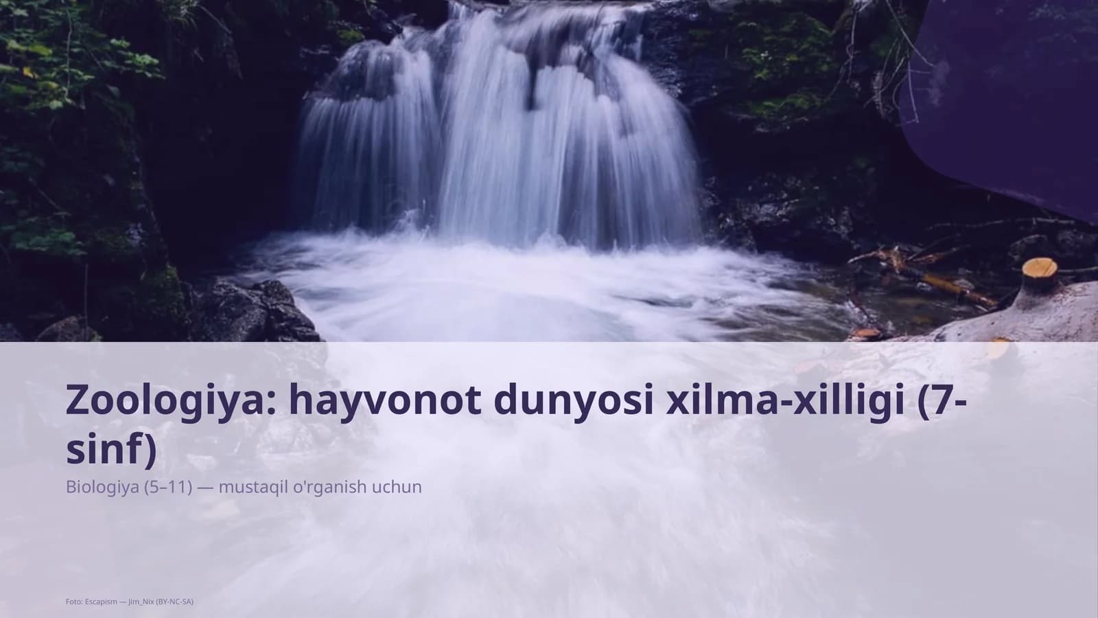 Zoologiya: hayvonot dunyosi xilma-xilligi (7-sinf)