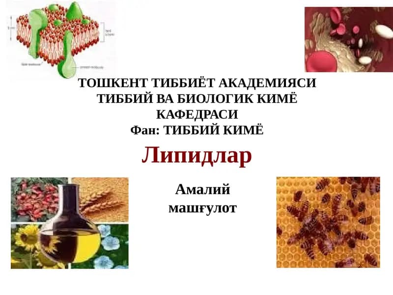 Липидлар