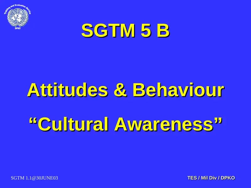 Cultural Awareness