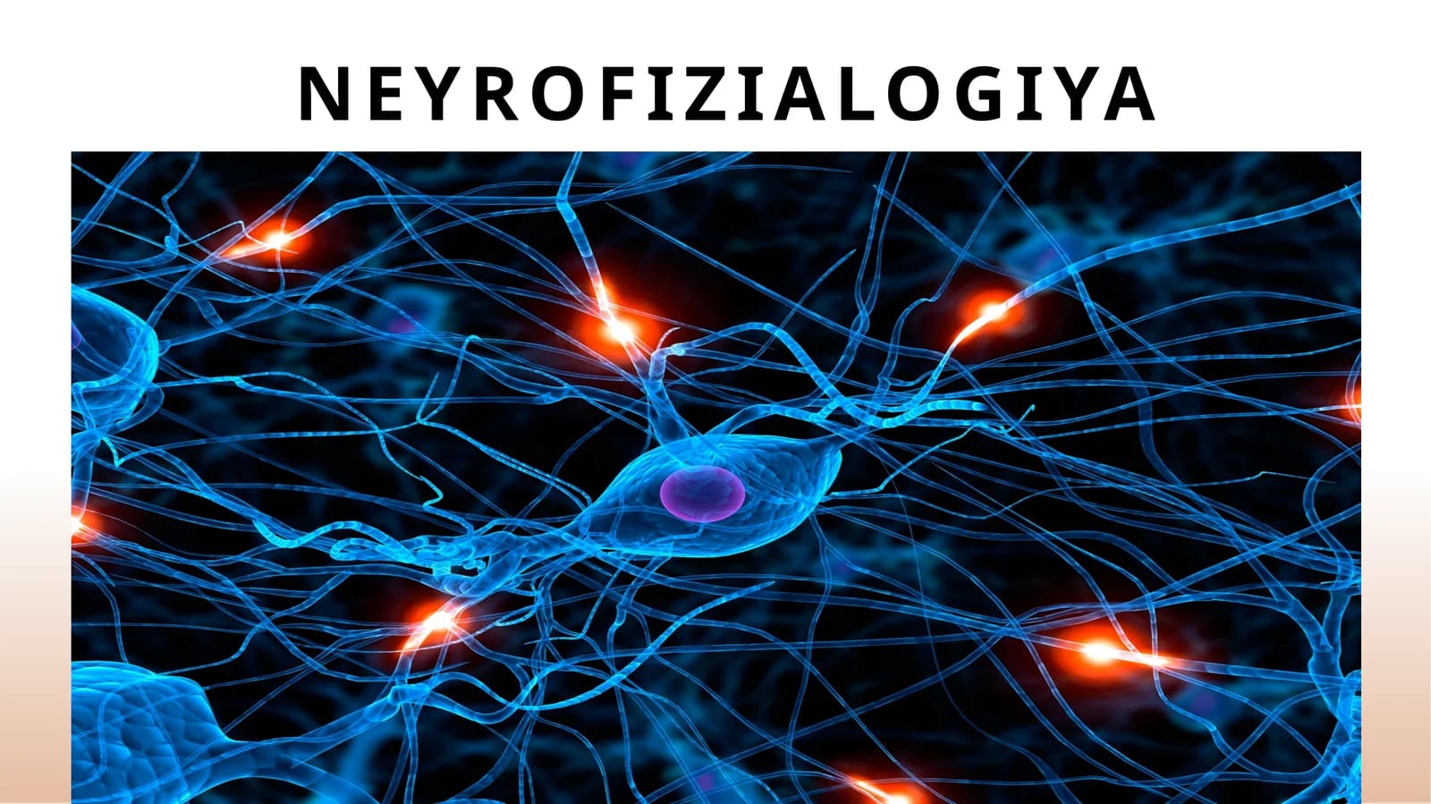 Neyrofizialogiya