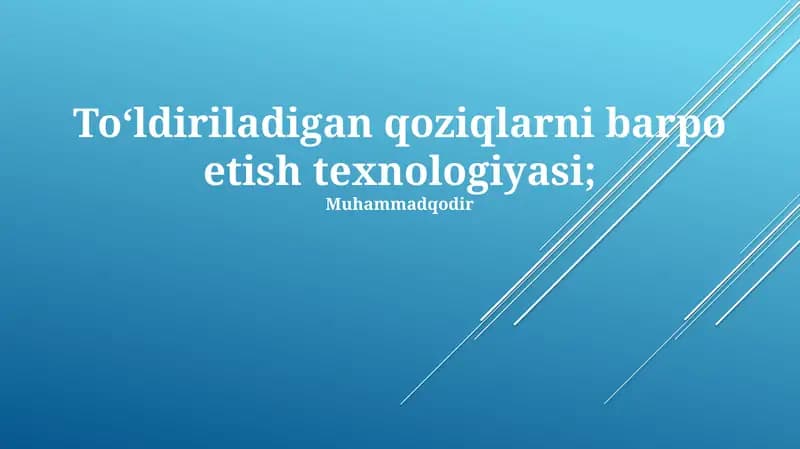 To‘ldiriladigan qoziqlarni barpo etish texnologiyasi