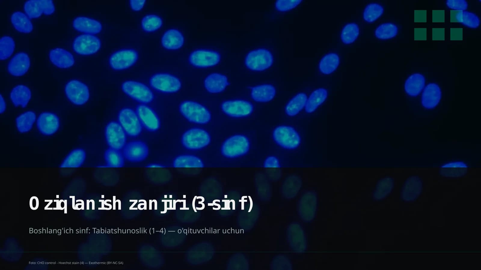 Oziqlanish zanjiri (3-sinf)