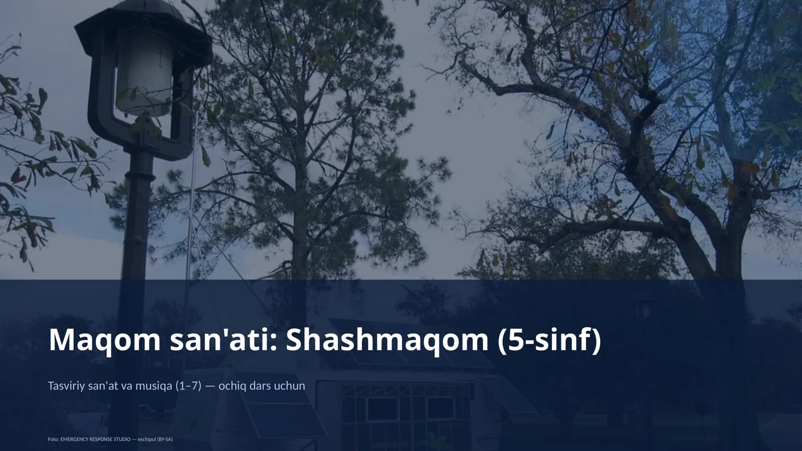 Maqom san'ati: Shashmaqom (5-sinf)