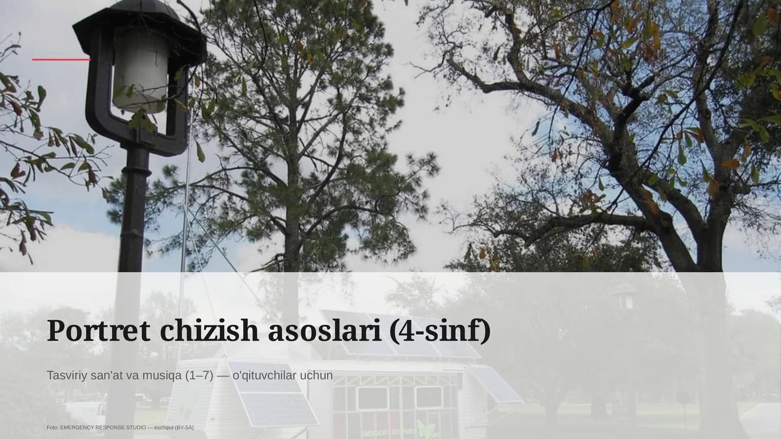 Portret chizish asoslari (4-sinf)