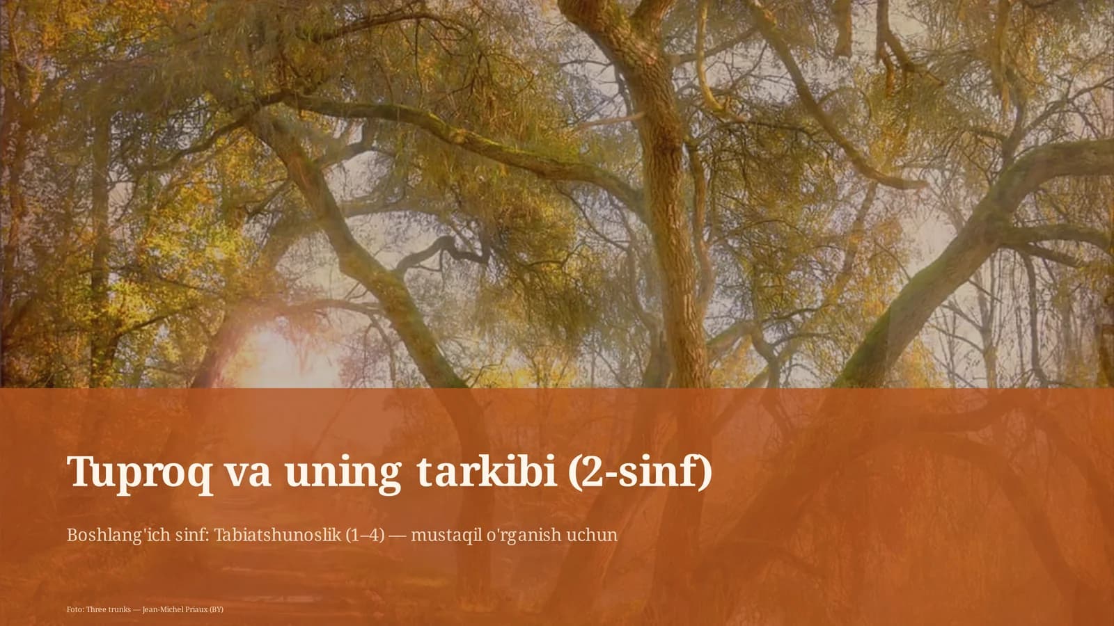 Tuproq va uning tarkibi (2-sinf)