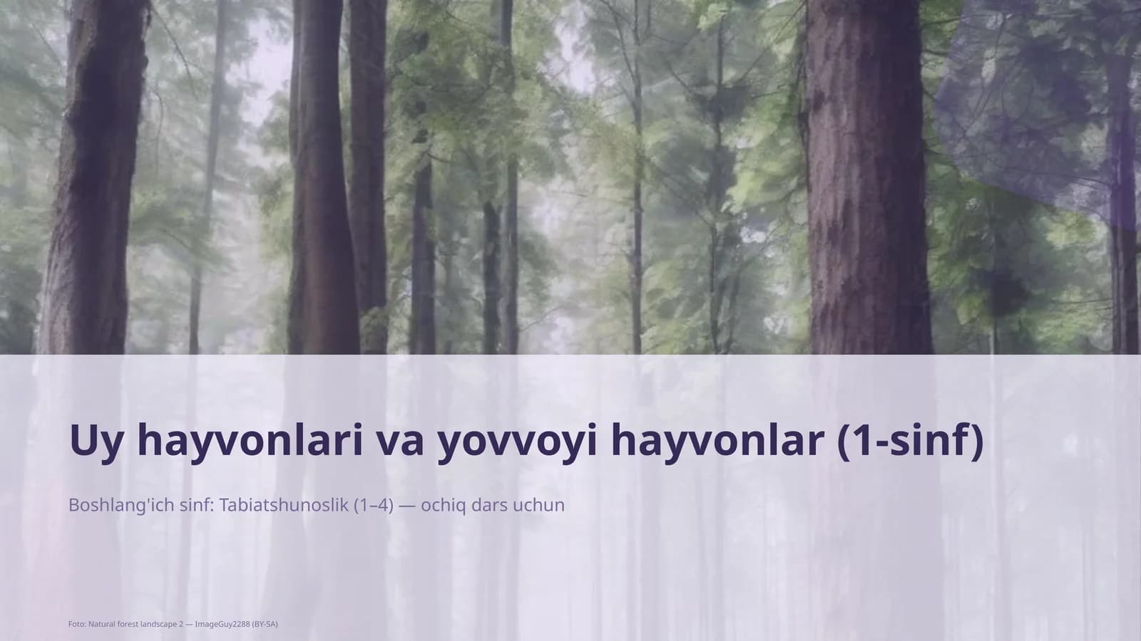 Uy hayvonlari va yovvoyi hayvonlar (1-sinf)