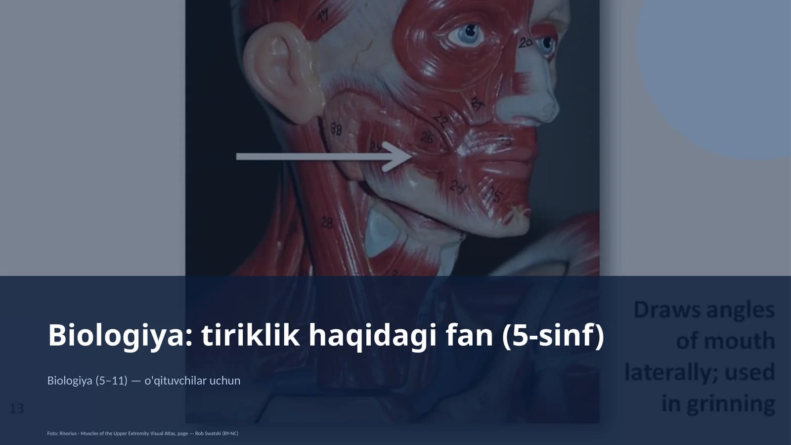 Biologiya: tiriklik haqidagi fan (5-sinf)