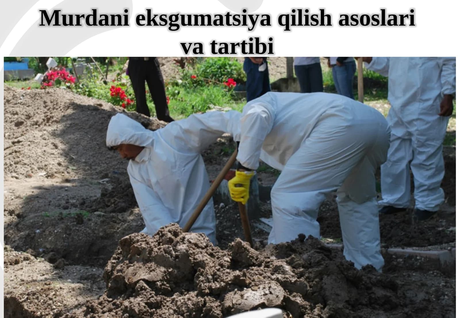 Murdanieksgumatsiyaqilishasoslarivatartibi