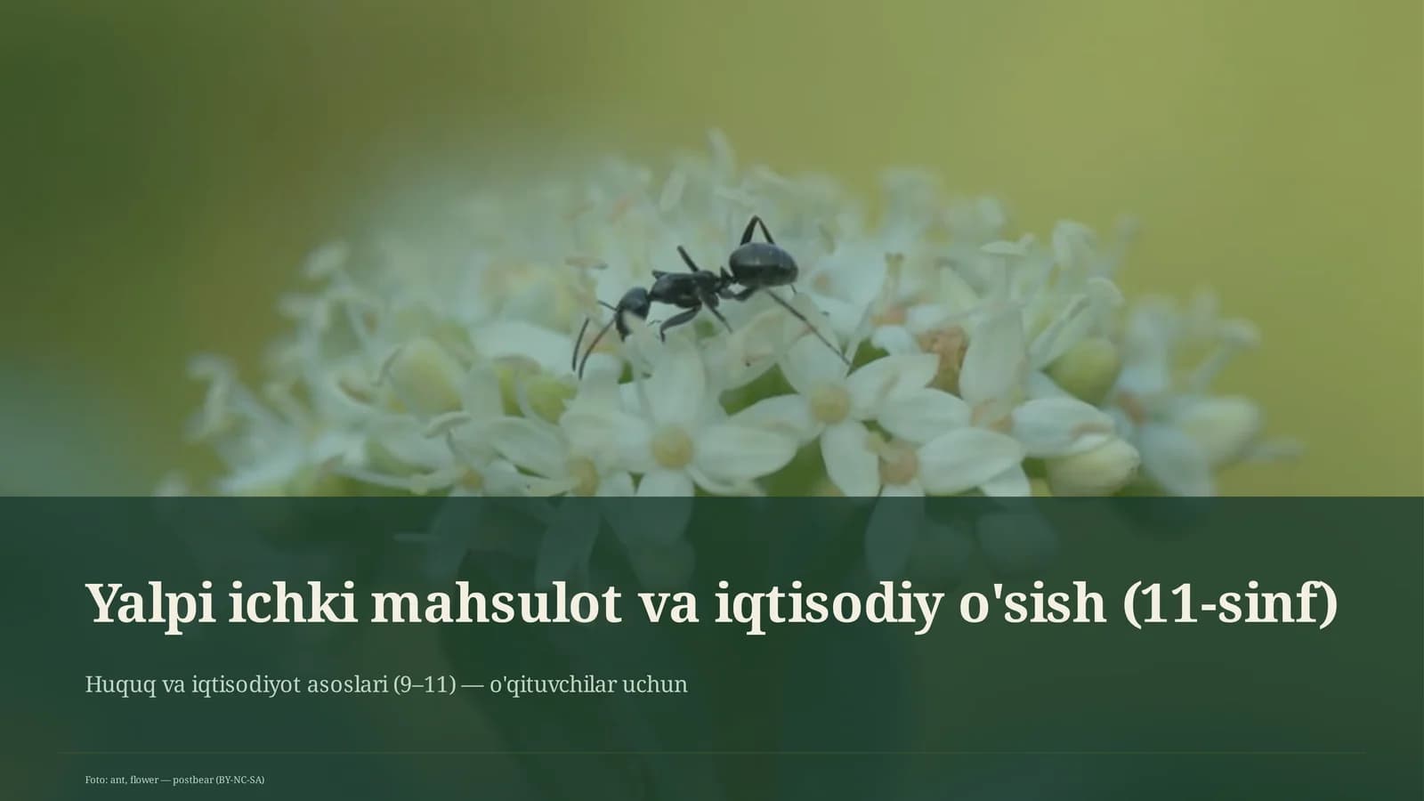 Yalpi ichki mahsulot va iqtisodiy o'sish (11-sinf)