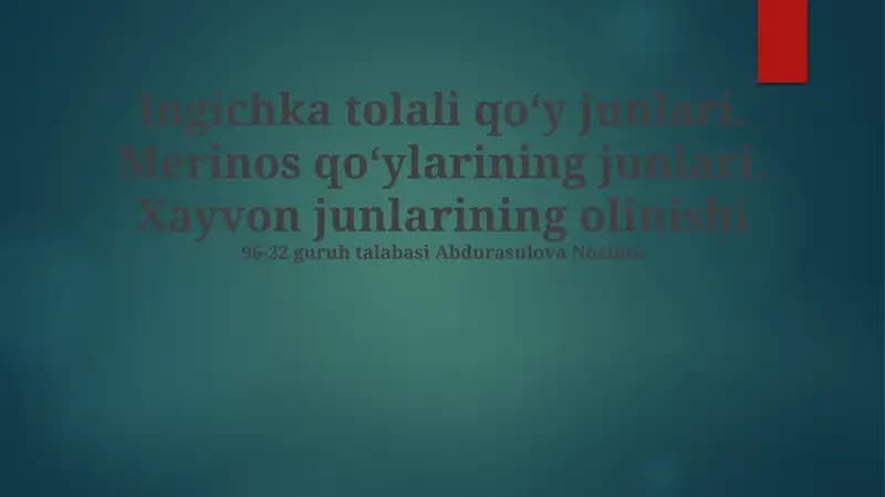 Nozik junli qo'ylar junini