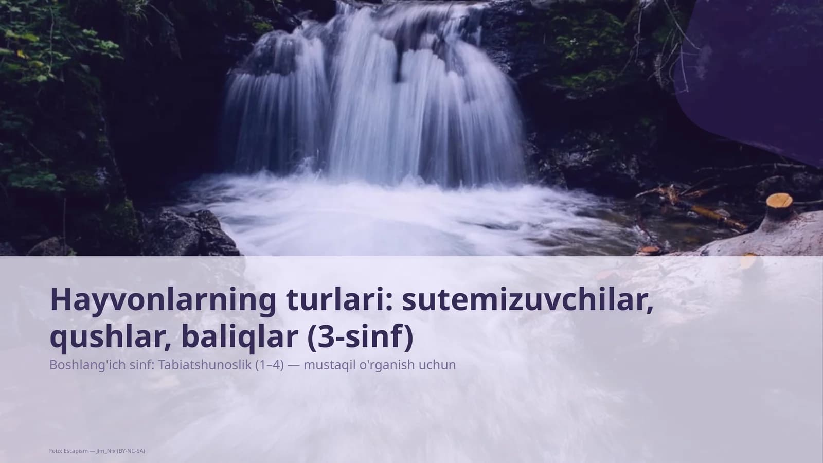 Tabiatshunoslik