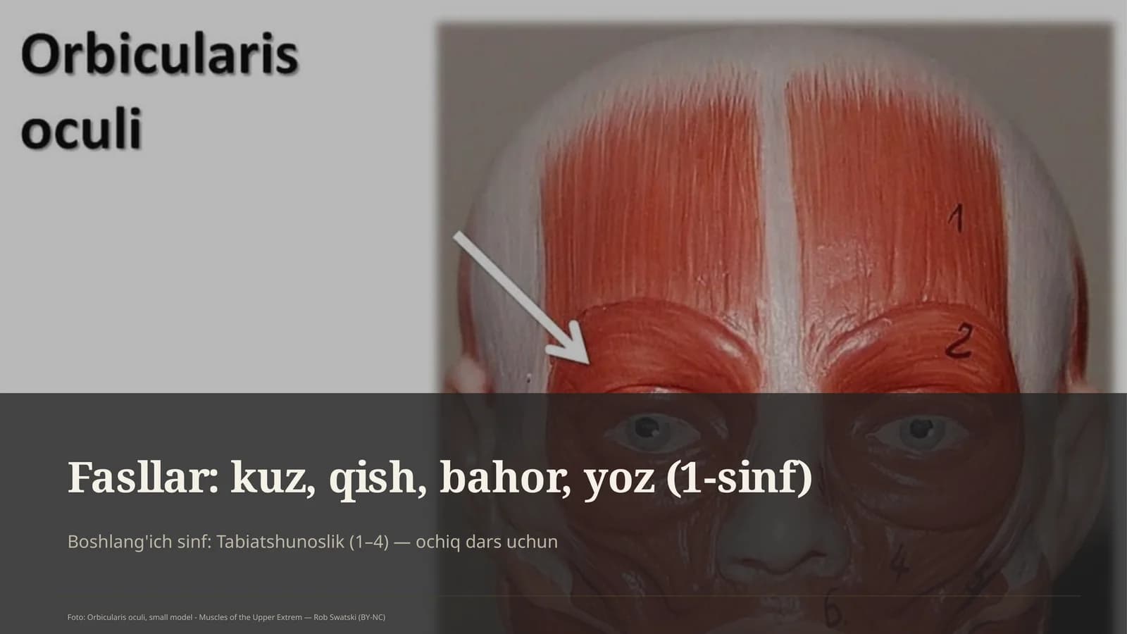 Tabiatshunoslik (1–4) — ochiq dars uchun