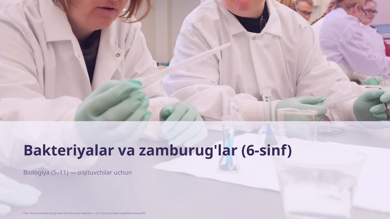 Bakteriyalar va zamburug'lar (6-sinf)