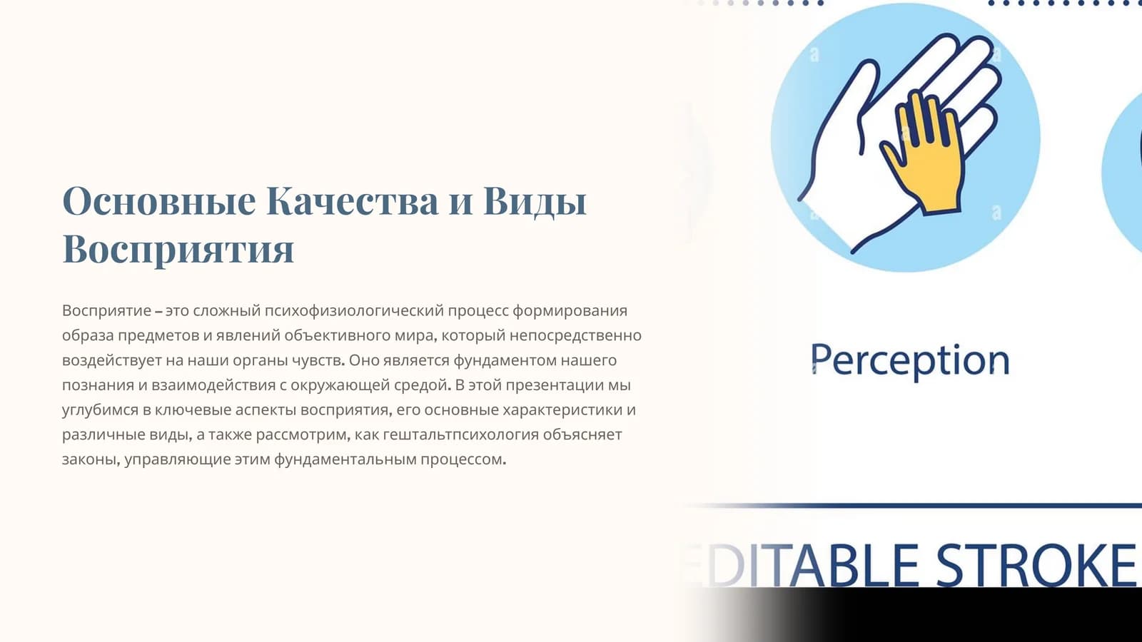 Основные Качества и Виды Восприятия
