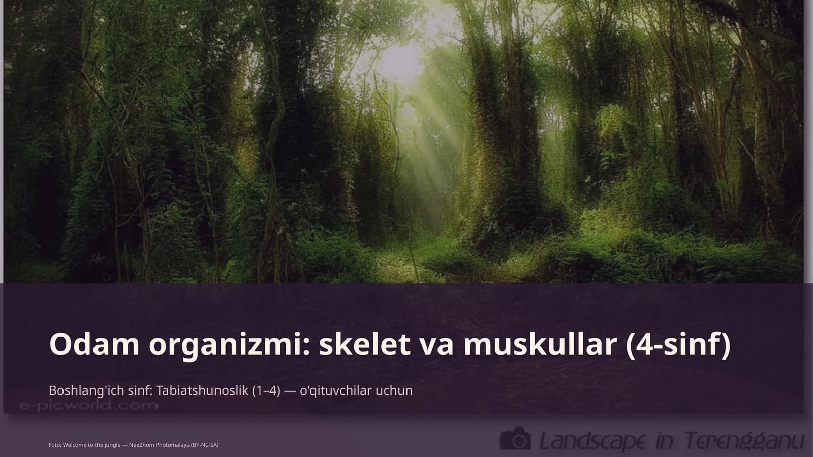 Odam organizmi: skelet va muskullar (4-sinf)