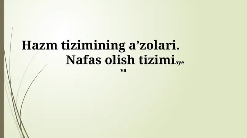 Hazm tizimi a'zolari