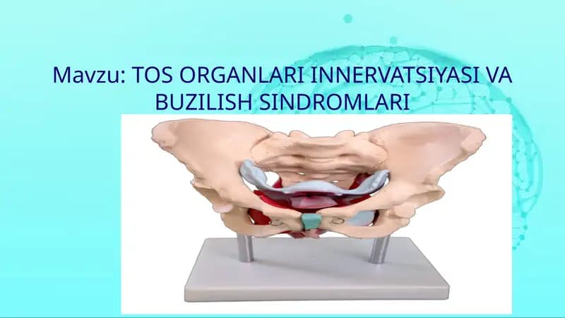 Tos organlari innervatsiyasi va buzilish sindromlari