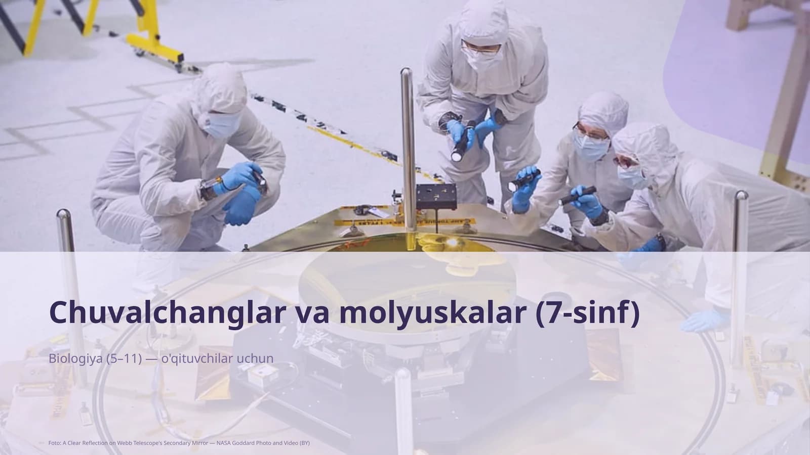 Chuvalchanglar va molyuskalar (7-sinf)