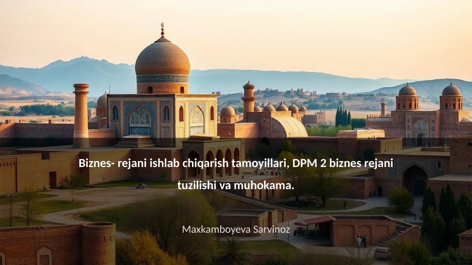 Biznes- rejani ishlab chiqarish tamoyillari, DPM 2 biznes rejani tuzilishi va muhokama