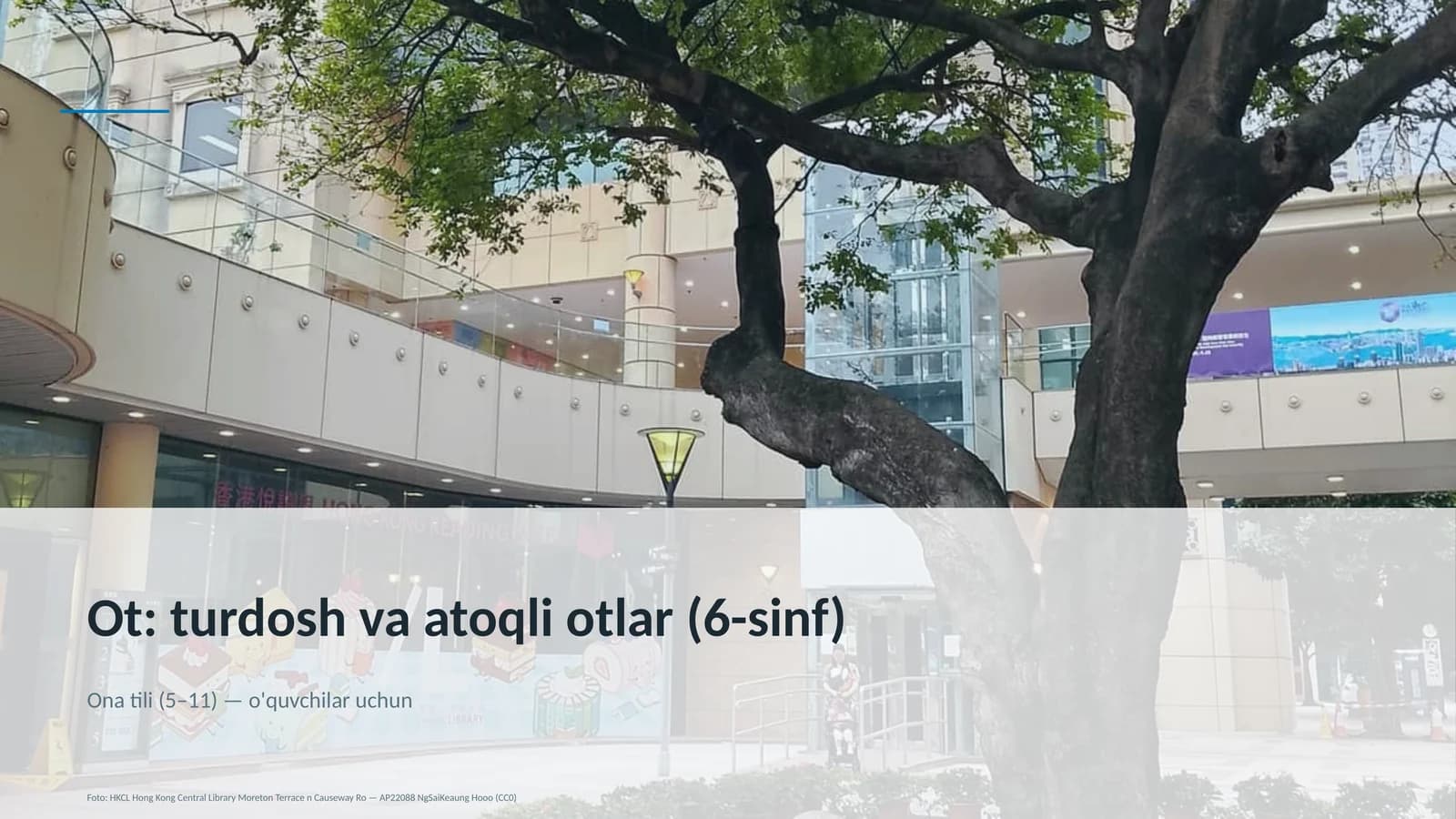 Ot: turdosh va atoqli otlar (6-sinf)