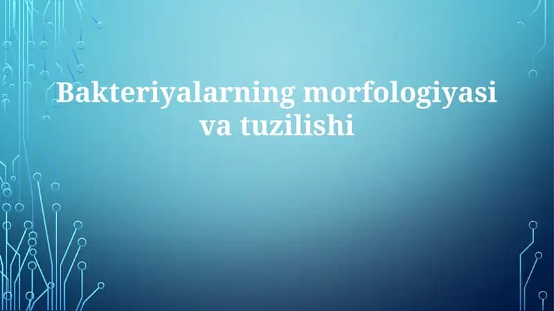 Bakteriyalarning morfologiyasi va tuzilishi