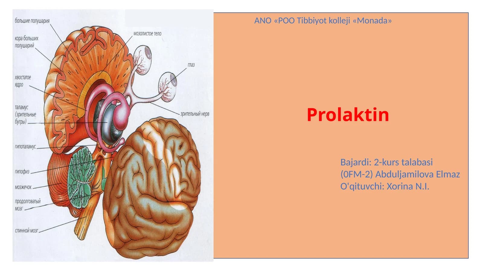 Prolaktin gormoni va uning funksiyalari