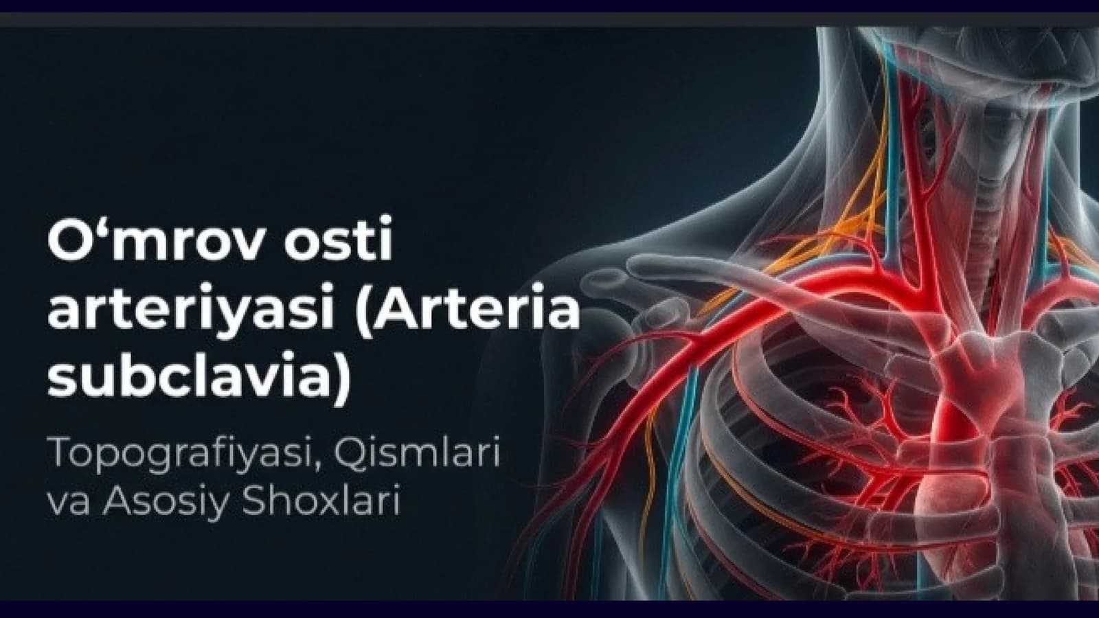 O'mrov osti arteriyasi