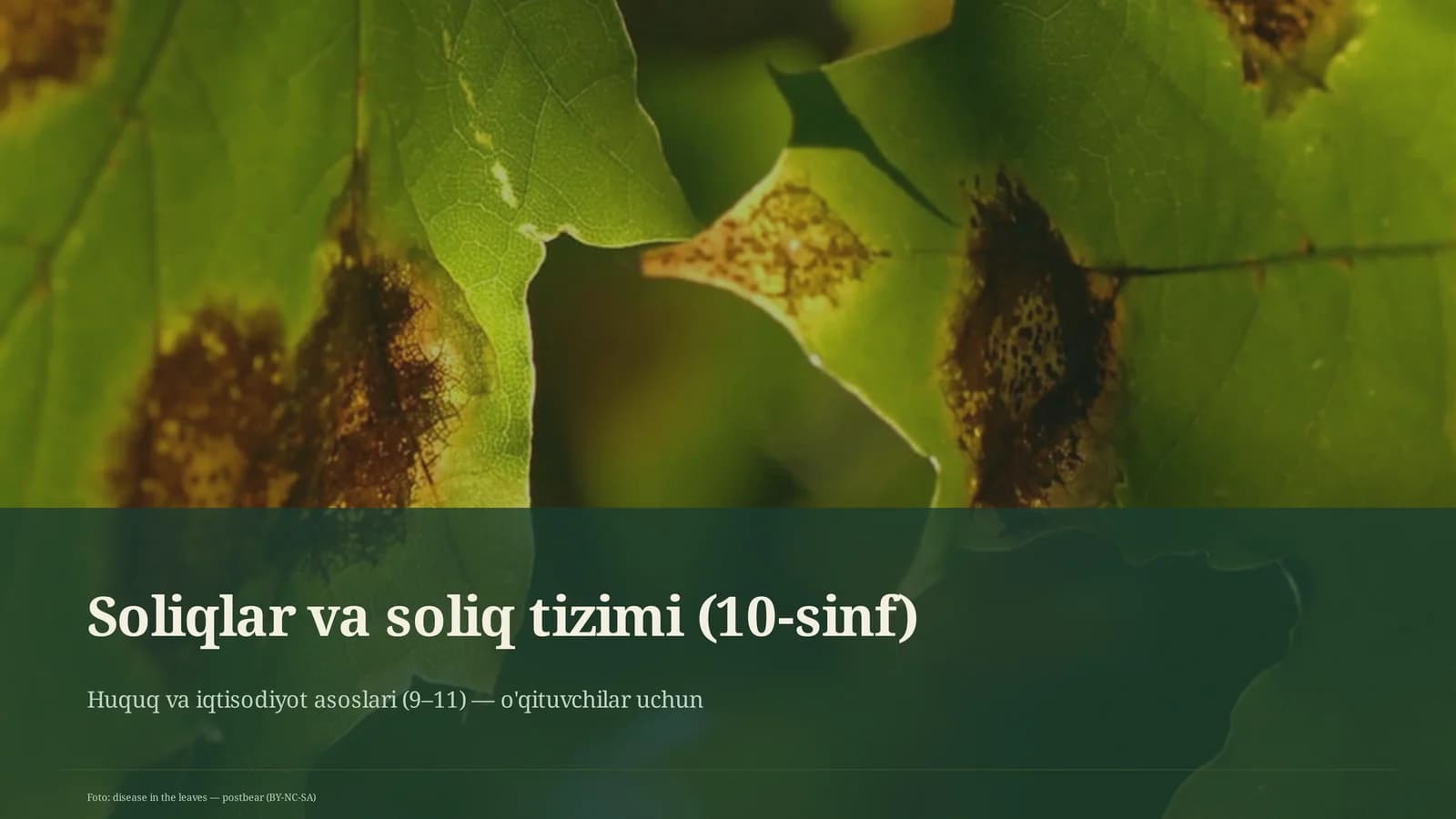Soliqlar va soliq tizimi (10-sinf)