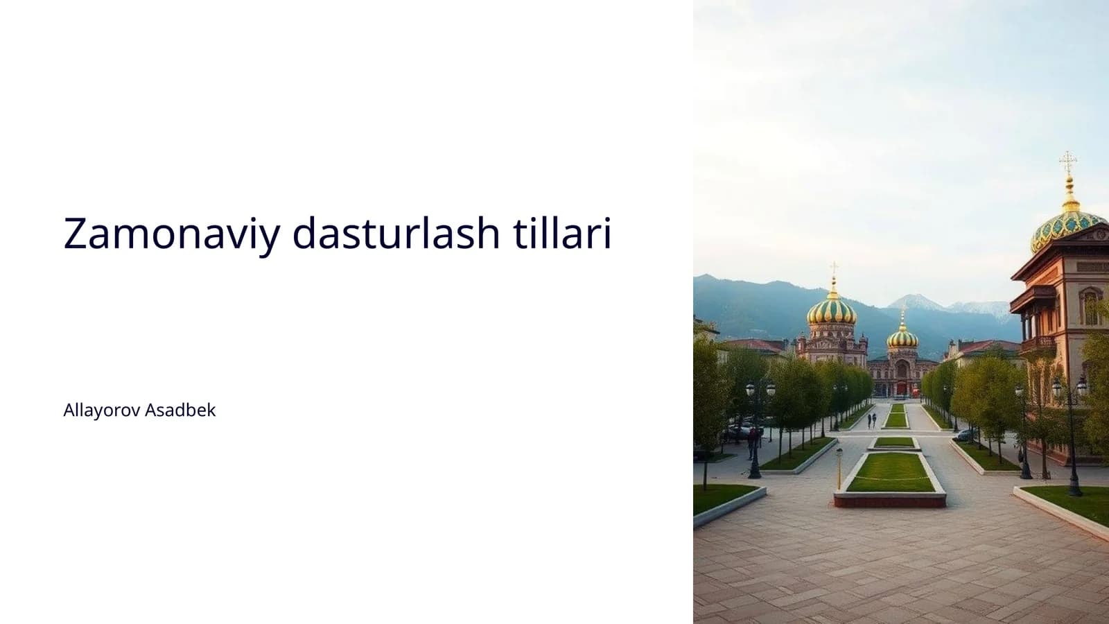 Dasturlash tillarining tarixi