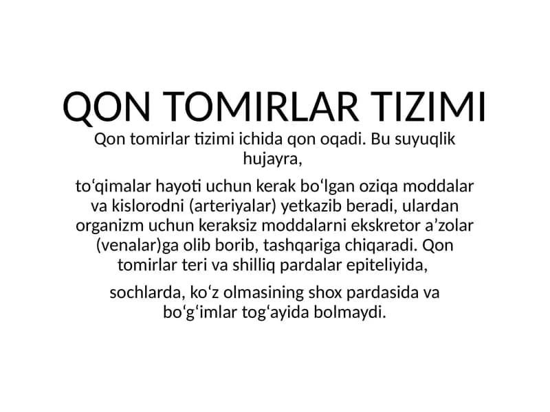 Qon tomirlar tizimi