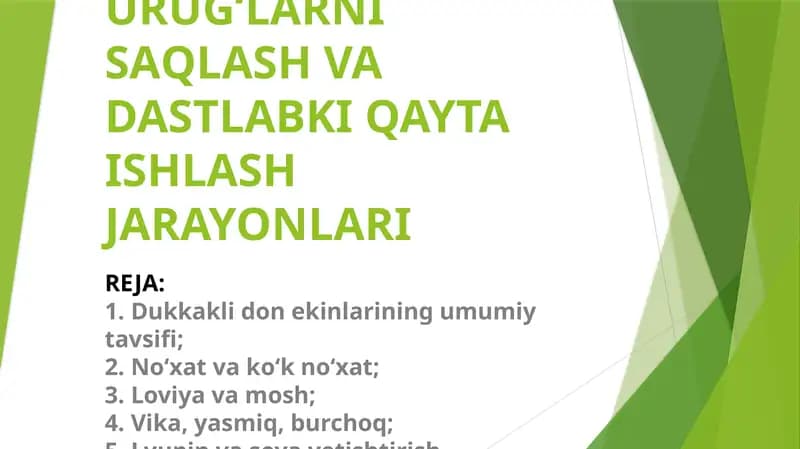 Dukkakli Ekinlar Urug‘lаrni Sаqlаsh va Dastlabki Qayta Ishlashjarayonlari