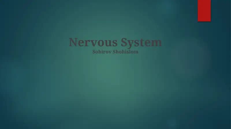 Nervous System