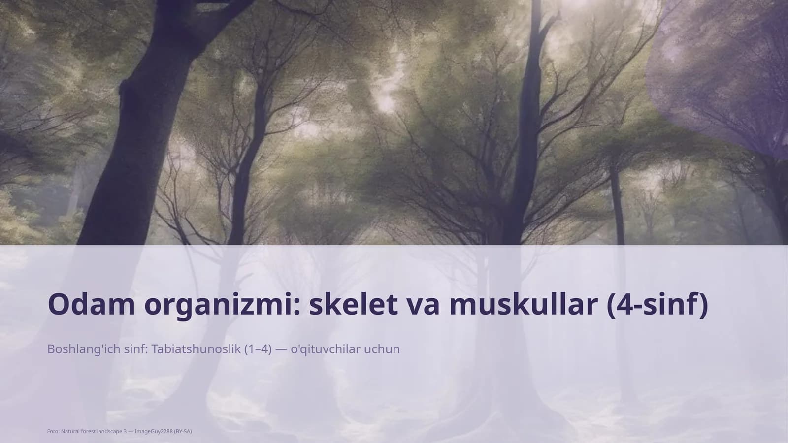 Odam organizmi: skelet va muskullar (4-sinf)