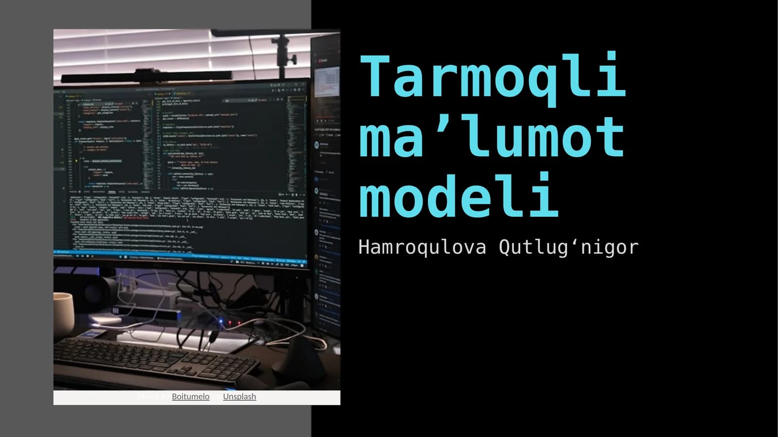 Tarmoqli maʼlumot modeli