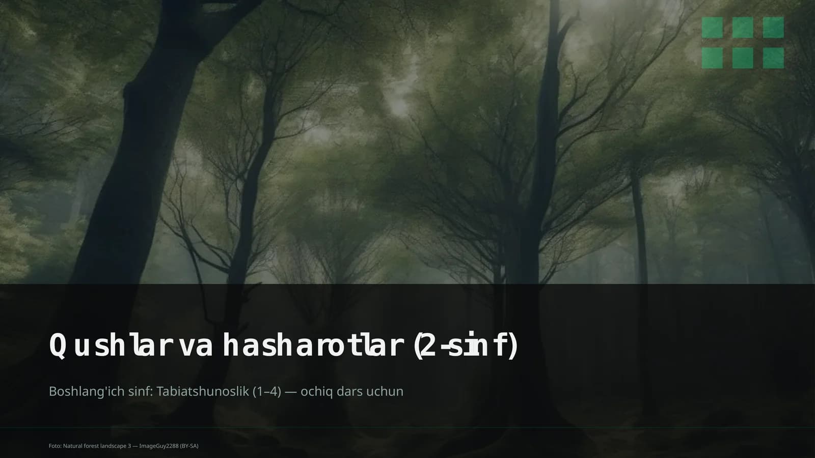 Qushlar va hasharotlar (2-sinf)