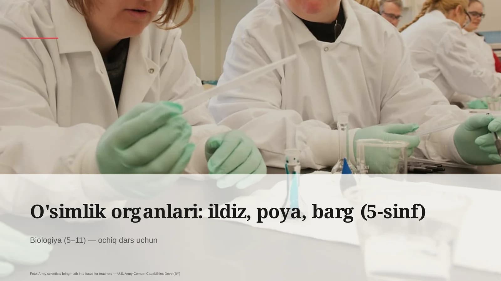 O'simlik organlari: ildiz, poya, barg (5-sinf)