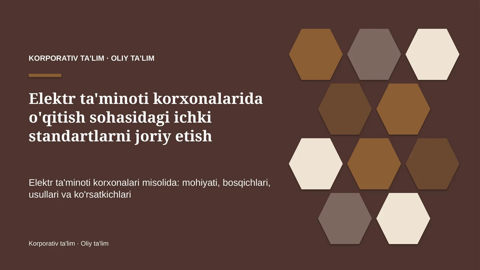 Elektr ta'minoti korxonalarida o'qitish sohasidagi ichki standartlarni joriy etish