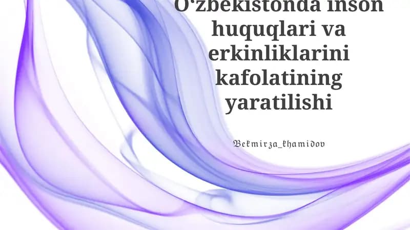 Oʻzbekistonda inson huquqlari va erkinliklarini kafolatining yaratilishi