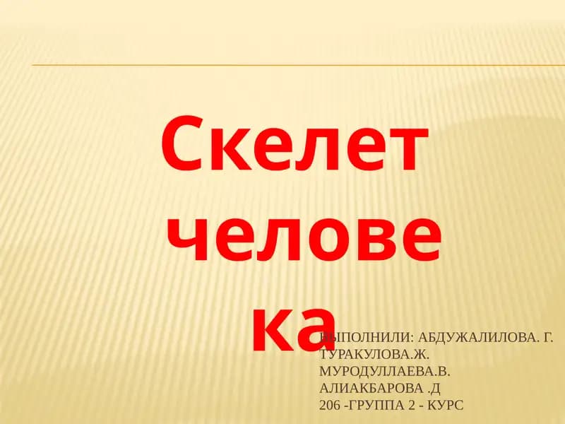 Скелет