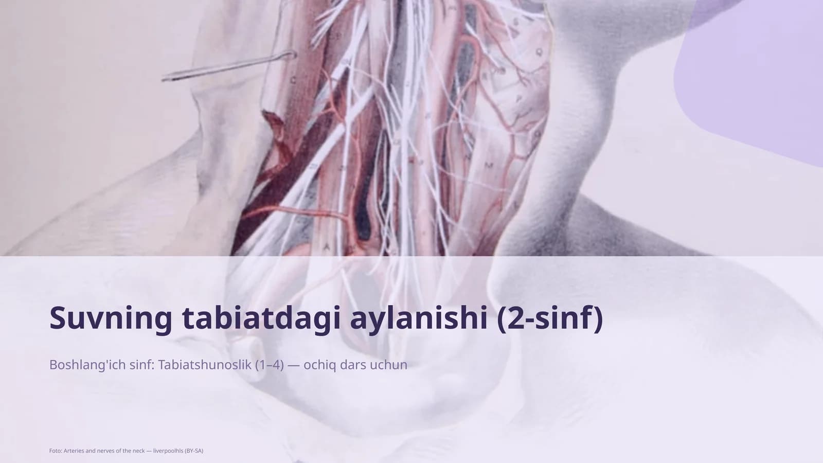 Suvning tabiatdagi aylanishi (2-sinf)