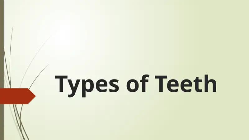 Types of Teeth